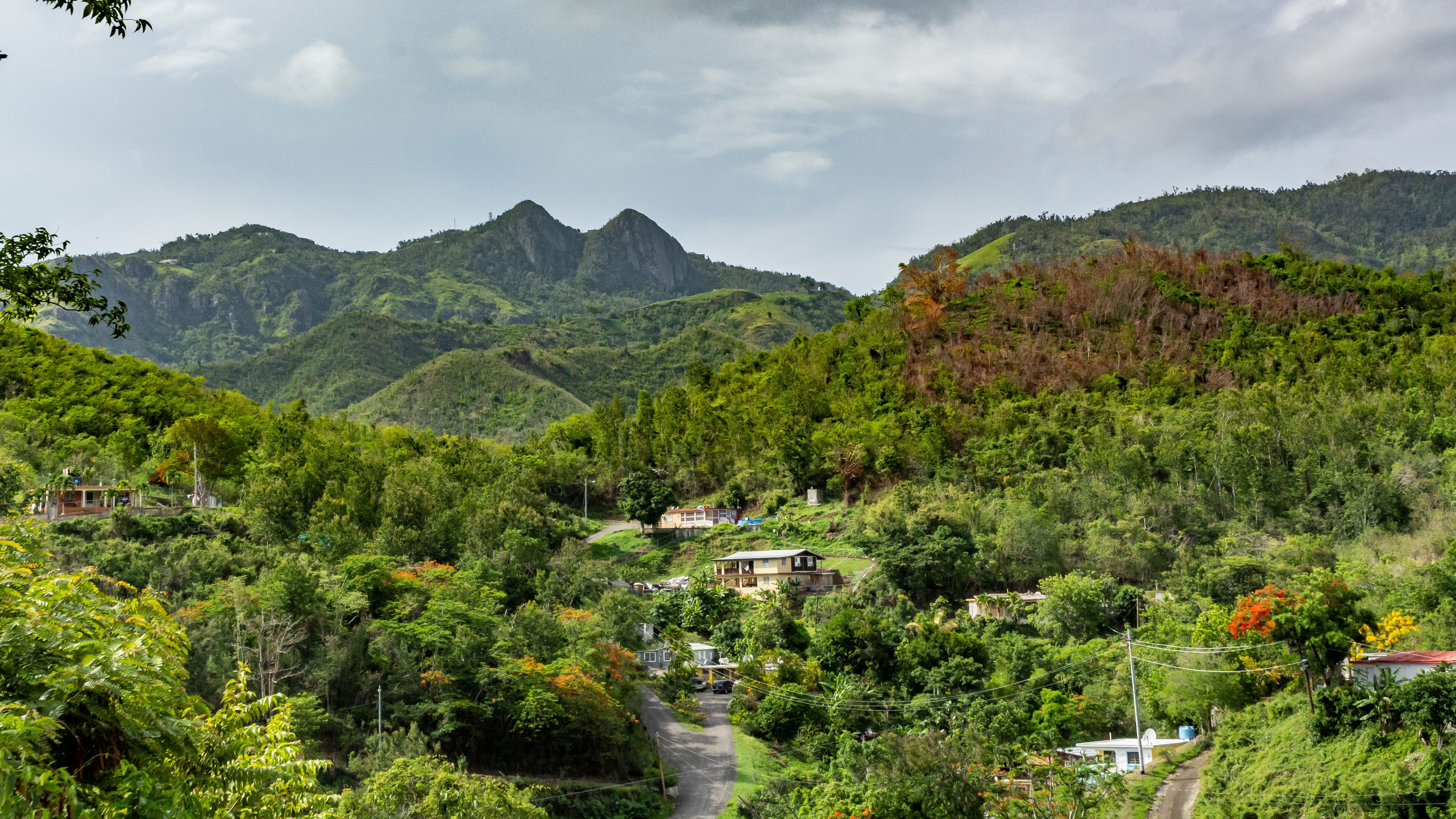 Foto de un campo en Puerto Rico